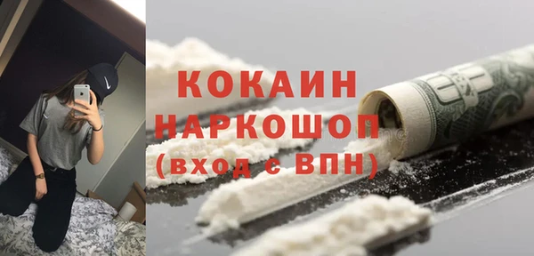 спайс Богданович