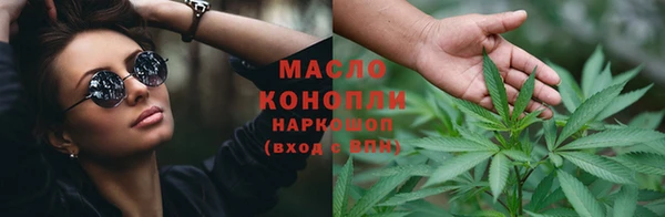 дмт Богородицк