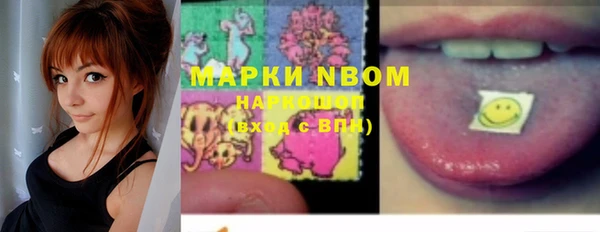дмт Богородицк
