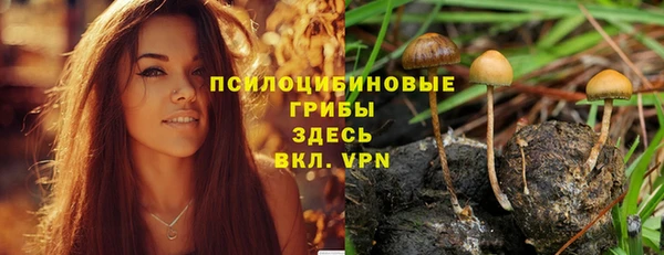 спайс Богданович