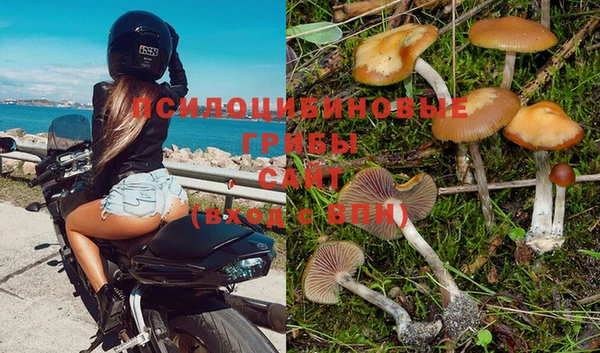 тгк Белоозёрский