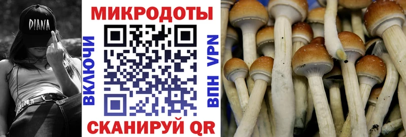 Псилоцибиновые грибы MAGIC MUSHROOMS  Купить закладки  Горняк 